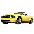 FORD Mustang Convertible V (05-14)